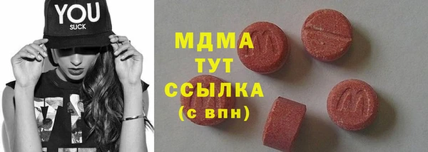 молекула духа Богородицк