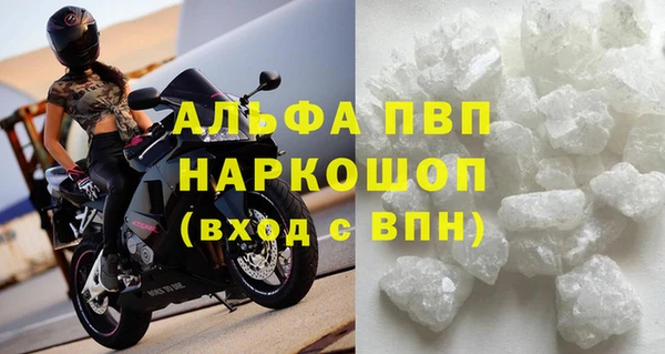 молекула духа Богородицк