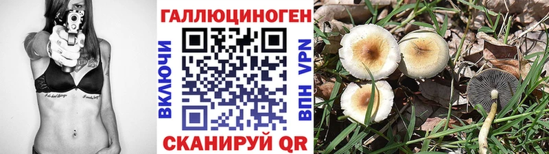 Псилоцибиновые грибы Psilocybe это наркотические препараты Туран